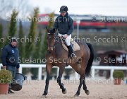 Indorami Tosc Tour2013- S5 1737 : Arezzo, Cavalli d'Italia, Indorami di Villa Giove, Toscana Tour 2013, foto di Stefano Secchi ©